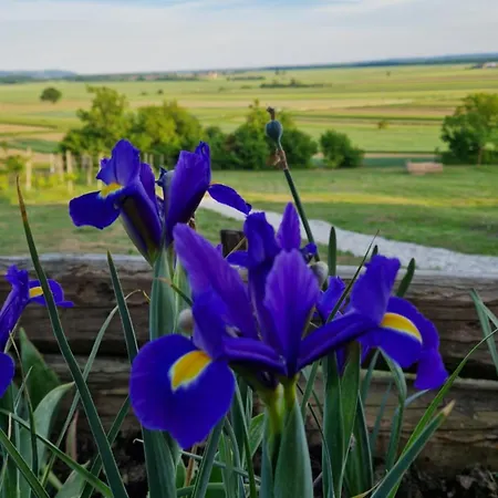 House Clavis Ferienhaus *